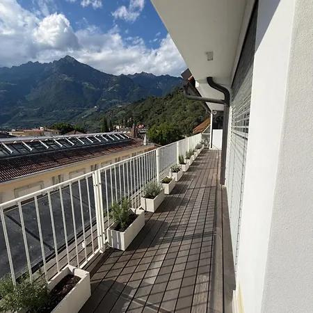 Absolute View *
